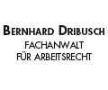 Logo von Dribusch Bernhard